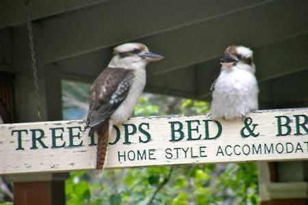 Treetops Bed & Breakfast Blackburn Exterior photo