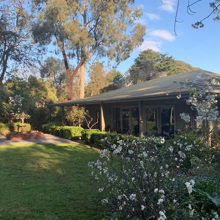 Treetops Bed & Breakfast Blackburn Exterior photo