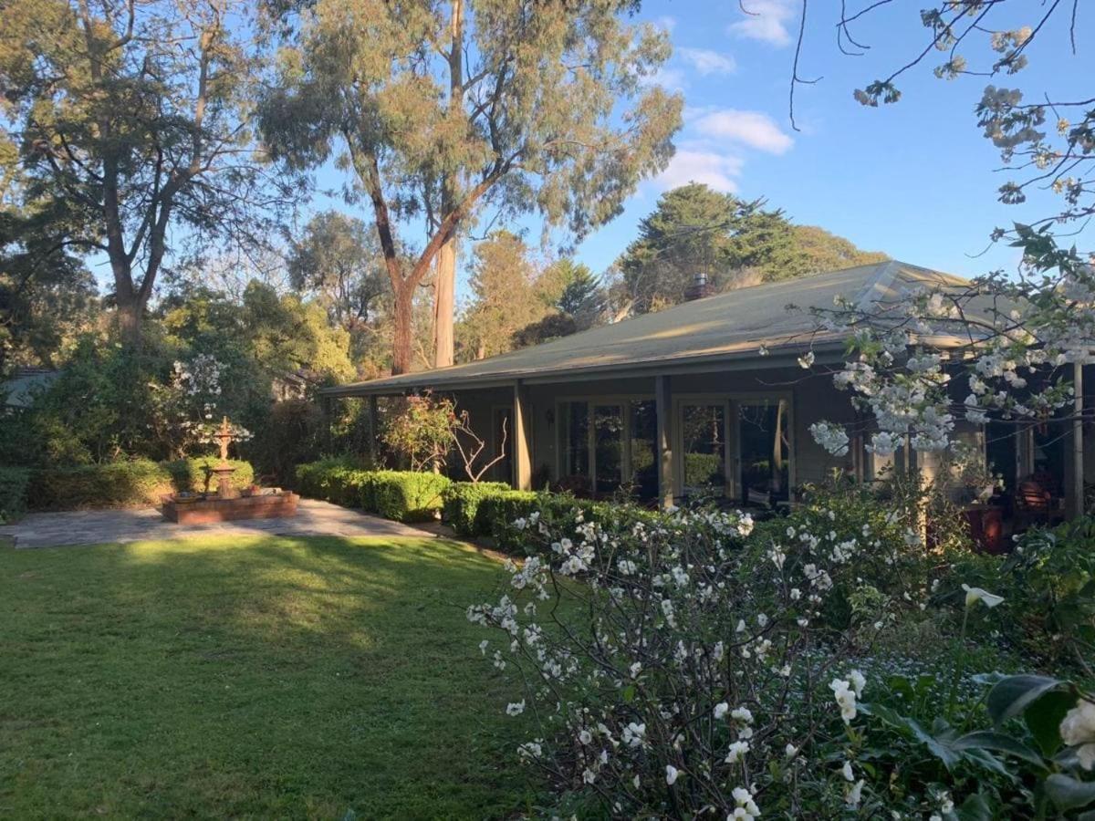 Treetops Bed & Breakfast Blackburn Exterior photo